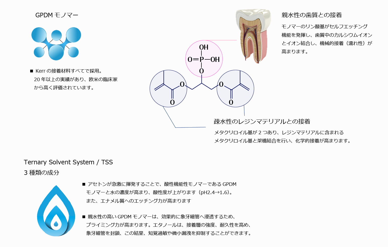 接着力を支える２つの優れた技術