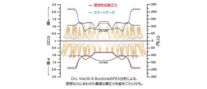 矯正力のグラフ